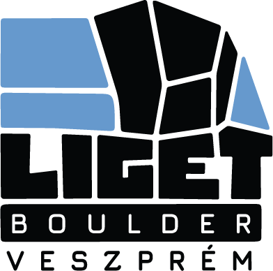 company_logo
